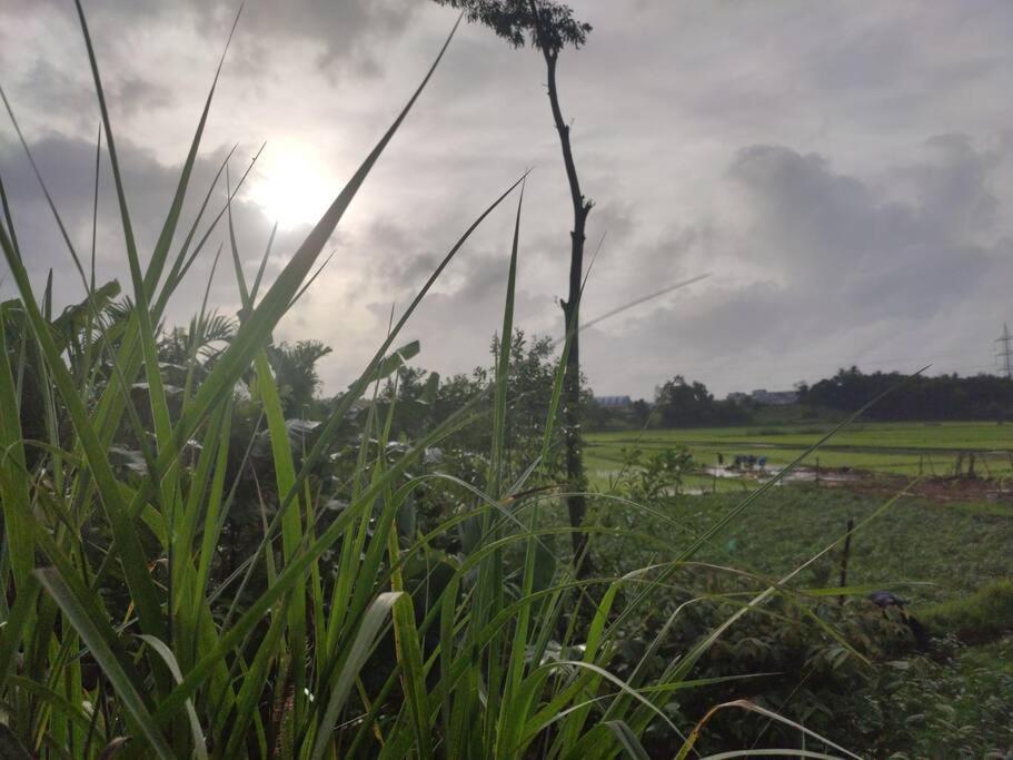 Kamanabillu Homestay, For Jog Falls Travellers Siddapur Exterior foto