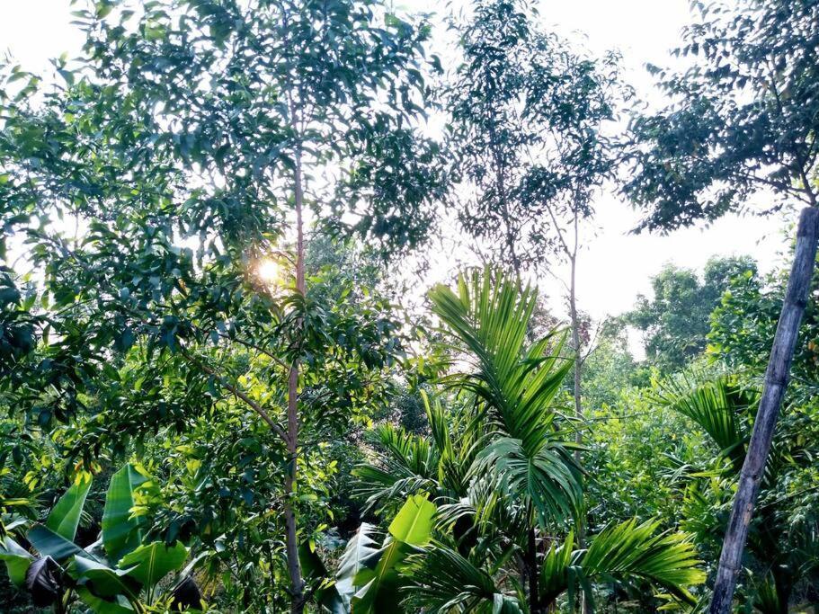 Kamanabillu Homestay, For Jog Falls Travellers Siddapur Exterior foto